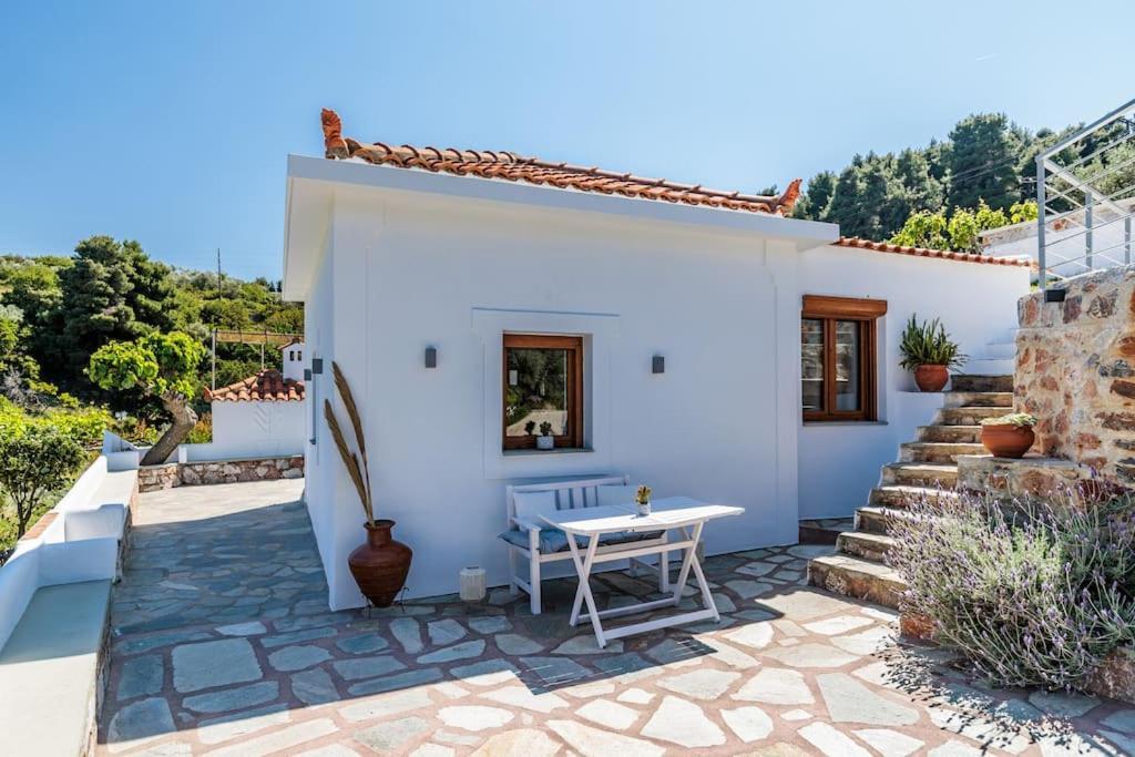 Villa Koukounaria Skopelos Extérieur photo